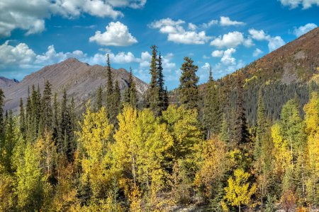 Kanada, Yukon, Blick auf die Tundra im Herbst, mit Bergen im Hintergrund, schöne Landschaft in einem wilden Land