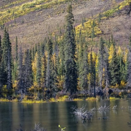 Yukón en Canadá, paisaje salvaje en otoño del parque Tombstone, con el lago