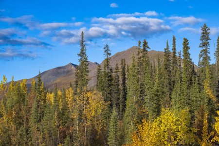 Kanada, Yukon, Blick auf die Tundra im Herbst, mit Bergen im Hintergrund, schöne Landschaft in einem wilden Land