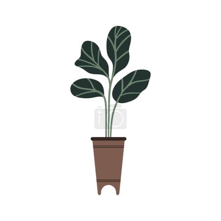 Téléchargez les illustrations : Plante en pot icône isolée - en licence libre de droit