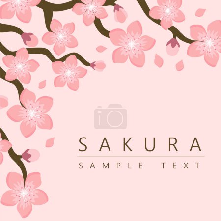 Ilustración de Sakura flor de cerezo japonés tema fondo, vector de ilustración, diseño para la invitación, tela, embalaje, postal, tarjetas de felicitación - Imagen libre de derechos