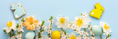 Banner festivo con flores de primavera y huevos de colores naturales y conejitos de Pascua, narcisos blancos y ramas de flor de cerezo sobre un fondo azul pastel
