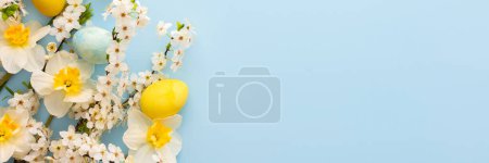 Festive banner with spring flowers and Easter eggs, white daffodils and cherry blossom branches on a blue pastel background