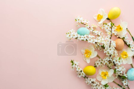 Fondo festivo con flores de primavera y huevos de Pascua, narcisos blancos y ramas de flor de cerezo sobre un fondo rosado pastel