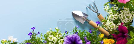 Frühlingsdekoration eines heimischen Balkons oder einer heimischen Terrasse mit Blumenbanner, Lobelia und Alyssum, Bacopa und Petunia auf blauem Hintergrund, Hausgarten und Hobbys