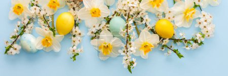 Banner festivo con flores de primavera y huevos de Pascua, narcisos blancos y ramas de flor de cerezo sobre un fondo azul pastel