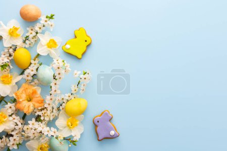 Fondo festivo con flores de primavera y huevos de colores naturales y conejitos de Pascua, narcisos blancos y ramas de flor de cerezo sobre un fondo azul pastel