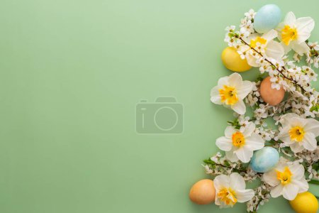 Fondo festivo con flores de primavera y huevos de Pascua, narcisos blancos y ramas de flor de cerezo sobre un fondo verde pastel