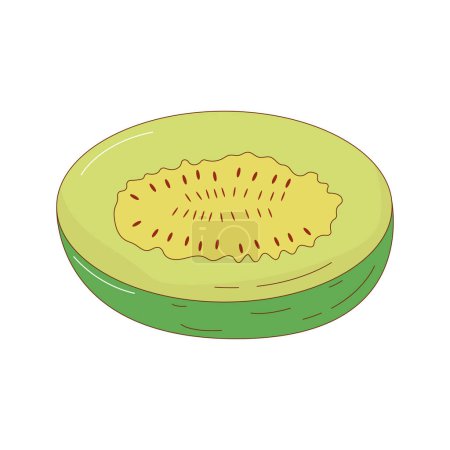 Illustration for Hand drawn melon fruit vector illustration. Creative hand drawn fruit vector element - Royalty Free Image
