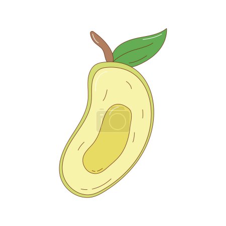 Illustration for Hand drawn mango fruit vector illustration. Creative hand drawn fruit vector element - Royalty Free Image