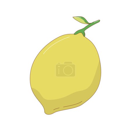Illustration for Hand drawn lemon fruit vector illustration. Creative hand drawn fruit vector element - Royalty Free Image