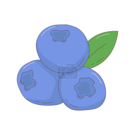 Illustration for Hand drawn blueberry fruit vector illustration. Creative hand drawn fruit vector element - Royalty Free Image