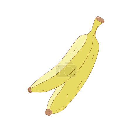 Illustration for Hand drawn banana fruit vector illustration. Creative hand drawn fruit vector element - Royalty Free Image