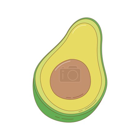 Illustration for Hand drawn avocado fruit vector illustration. Creative hand drawn fruit vector element - Royalty Free Image