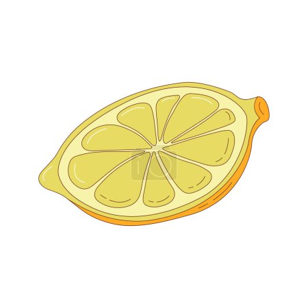 Illustration for Hand drawn lemon slice fruit vector illustration. Creative hand drawn fruit vector element - Royalty Free Image