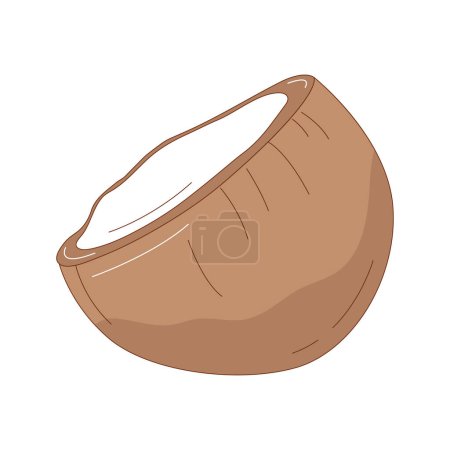 Illustration for Hand drawn coconut fruit vector illustration. Creative hand drawn fruit vector element - Royalty Free Image