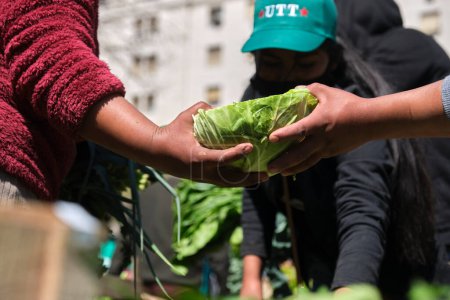 Photo for Buenos Aires, Argentina, 21 sept, 2021: UTT, Union de Trabajadores de la Tierra, Land Workers Union, distribute free organic food, fruits and vegetables demanding the approval of the Land Access Law. - Royalty Free Image