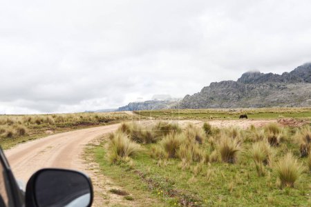 Foto de Vista desde un coche que viaja por una carretera rural en la región de Los Gigantes, un macizo de montaña que pertenece a la zona norte de Sierras Grandes, un destino turístico para el senderismo, trekking en Córdoba, Argentina - Imagen libre de derechos