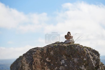 Photo for Pirca, pile of stones used as trail marker for hikers to follow the correct way, in Los Gigantes, Cordoba, Argentina, a mountainous destination for trekking, hiking, climbing. Orientation in nature. - Royalty Free Image