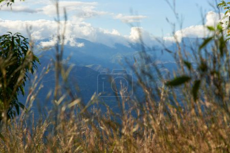 Natürliche Szenerie der kolumbianischen Anden, Berge zwischen Wolken und eine Vegetation aus Gras und Ähren.