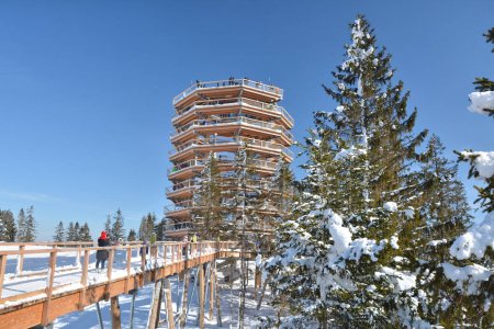 The treetop walk Bachledka in Bachledova valley in Slovakia. Scenic wooden bridge over trees.