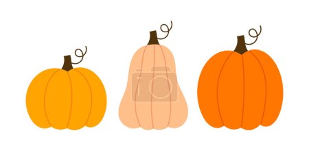 Illustration for Three pumpkins icons on white background. Pumpkin varieties vector illustration. - Royalty Free Image