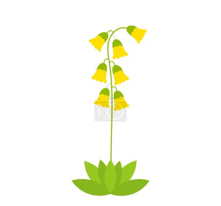 Illustration for Flower cowslip primrose illustration isolated on white background. Primula veris flower herb vector. - Royalty Free Image