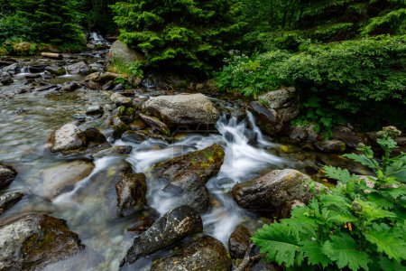 Foto de El río Balea en los Cárpatos de Rumania - Imagen libre de derechos