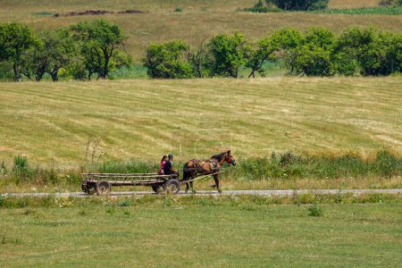 Foto de Un carruaje de caballos en el paisaje de viscros - Imagen libre de derechos