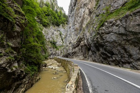 Le canyon Bicaz dans les Carpates de Roumanie
