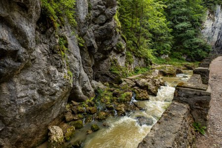 Le canyon Bicaz dans les Carpates de Roumanie