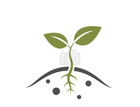 Ilustración de Icono de brote de planta. brotó del suelo. agricultura, siembra y símbolo de la agricultura. imagen vectorial aislada - Imagen libre de derechos