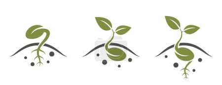 Ilustración de Icono de germinación de semillas. germinó semilla, plántulas y símbolo de plantación. imagen vectorial aislada en estilo simple - Imagen libre de derechos