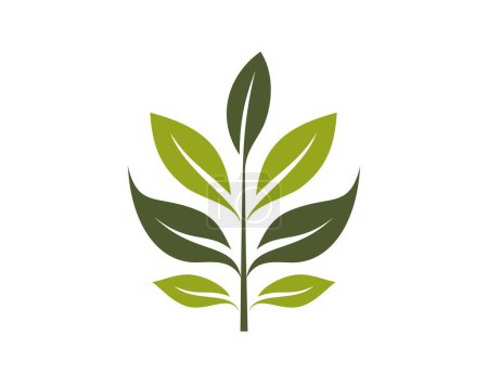 grüne Zweigsymbole. Öko, Frühling, Pflanzen- und Natursymbol. isoliertes Vektorbild in flachem Design