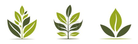 Ilustración de Iconos de plantas verdes. símbolos ecológicos, orgánicos y vegetales. imágenes vectoriales aisladas en diseño plano - Imagen libre de derechos