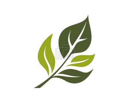 Ilustración de Icono de ramita verde. planta, primavera y símbolo orgánico. imagen vectorial aislada en diseño plano - Imagen libre de derechos