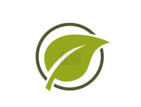 Eco icon. leaf in a circle. leaf and organic symbol. isolated vector image in flat design
