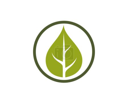 bio product icon. leaf in a circle. eco and organic symbol. isolated vector image in flat design