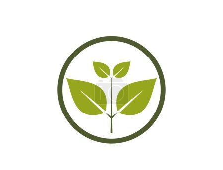 organic icon. sprout in a circle. bio and eco friendly symbol. isolated vector image in flat design