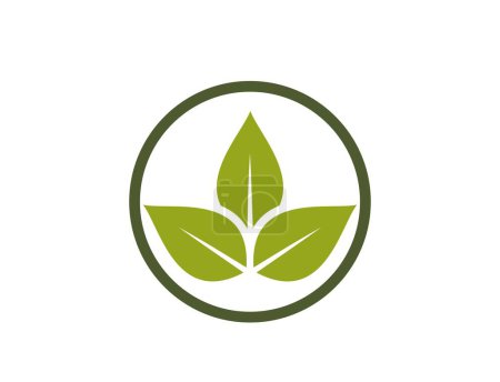 Ilustración de Icono ecológico. hojas en un círculo. símbolo orgánico y bio. imagen vectorial aislada en diseño plano - Imagen libre de derechos