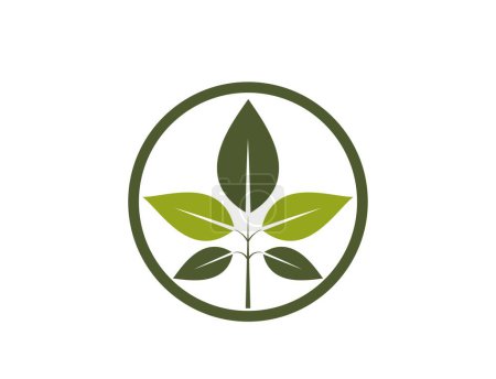 Ilustración de Bio icono del producto. brotar en un círculo. símbolo orgánico, bio y ecológico. imagen vectorial aislada en diseño plano - Imagen libre de derechos