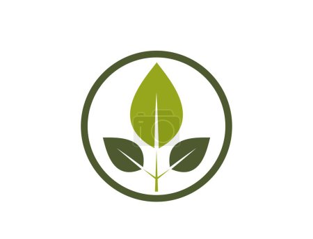 natural product icon. sprout in a circle. organic and eco friendly symbol. isolated vector image in flat design