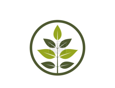 Ilustración de Icono natural del producto. ramita ramita con hojas en círculo. eco amigable y bio símbolo. imagen vectorial aislada en diseño plano - Imagen libre de derechos