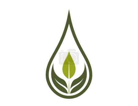 Ilustración de Icono ecológico. hojas verdes en gota. agua limpia, símbolo orgánico y bio. imagen vectorial aislada en diseño plano - Imagen libre de derechos