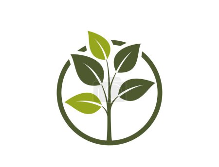 icono natural del producto. árbol en un círculo. símbolo orgánico, ecológico y botánico. ilustración vectorial aislada en diseño plano