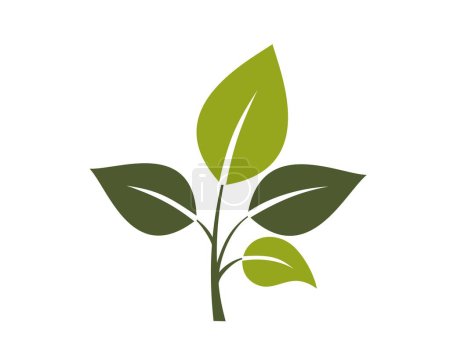 icono de ramita verde. símbolo botánico, primaveral, vegetal y natural. ilustración vectorial aislada en diseño plano