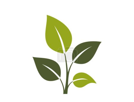 Ilustración de Planta icono ramita. símbolo botánico, primaveral y natural. ilustración vectorial aislada en diseño plano - Imagen libre de derechos