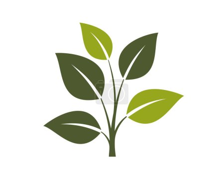 icône de la plante verte. symbole botanique, végétal et naturel. Illustration vectorielle isolée en plan