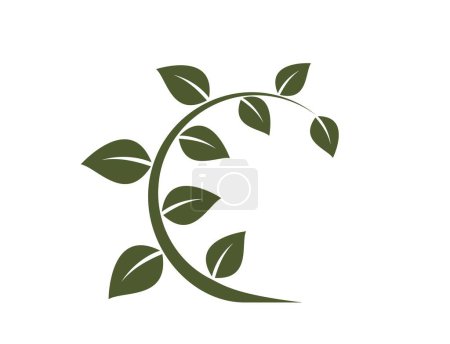 Ilustración de Icono de ramita verde retorcido. botánica, planta y símbolo de crecimiento. imagen vectorial aislada en diseño plano - Imagen libre de derechos