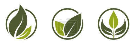 Ilustración de Iconos ecológicos. hojas en un círculo. símbolo natural, bio y orgánico. imagen vectorial aislada en diseño plano - Imagen libre de derechos